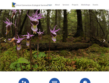 Tablet Screenshot of ccesinc.com